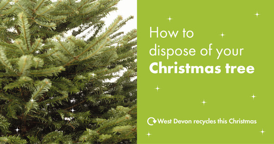 disposeofchristmastree