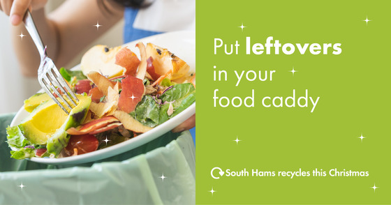 leftovers-food-caddy