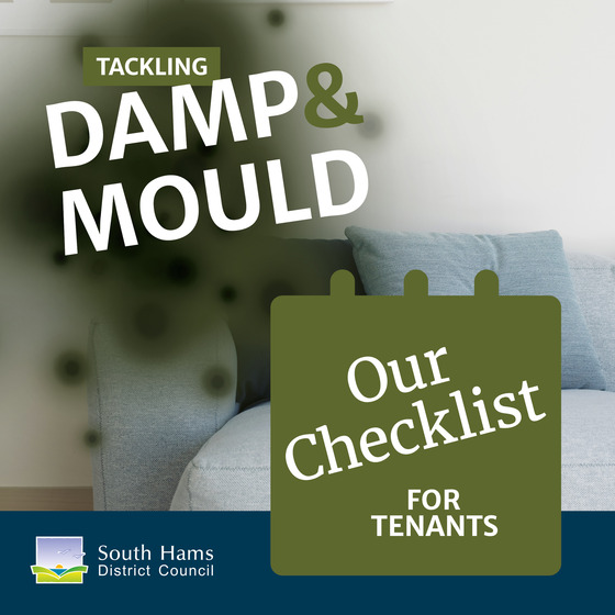 Damp Mould Checklist Tenants SH