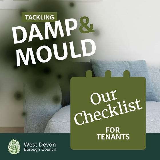 Damp mould tenants WD