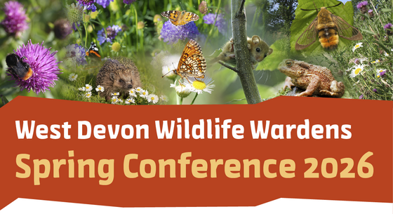 Wildlife Warden Spring Conference banner in brown with colourful image of multiple insects and animals above