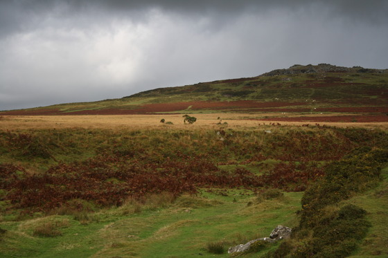 tor-moor