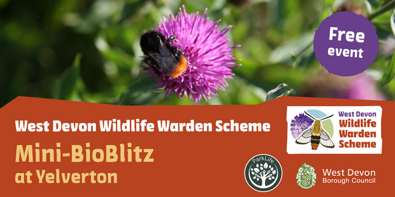 Yelverton BioBlitz