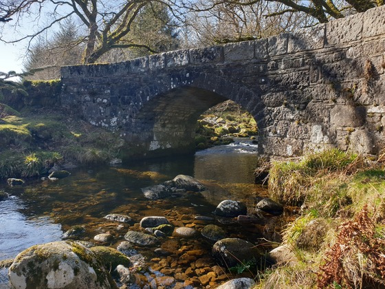A picture of Dartmoor's Norsworthy Bridge