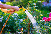 hosepipe