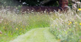 lawn with wildflower edging