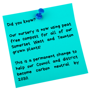 Did you know? All Somerset West and Taunton grown plants are now grown in peat free compost!