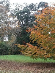 Manor Gardens Dawlish 2018