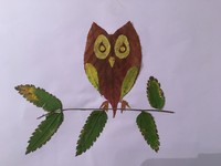 owl image made of leaves