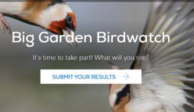 RSPB  Big Garden Bird Watch
