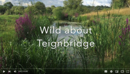 Wild about Teignbridge webinar recording 