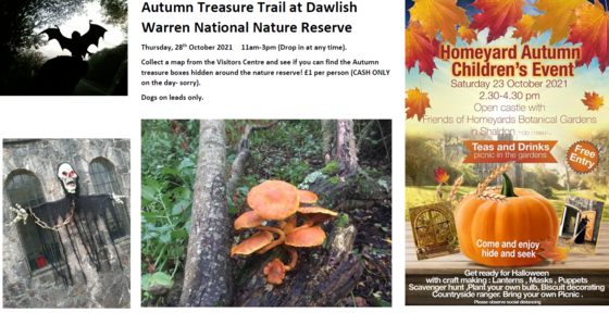 Posters promoting different autumnal activities