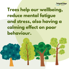 Trees help our wellbeing, reduce mental fatigue and stress, also having a calming effect on poor behaviour