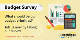 budget survey