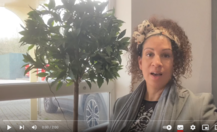 Councillor Jeffries video link