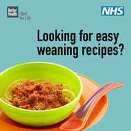 Looking for easy weaning recipes