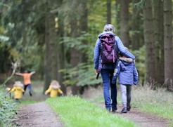 Family walking through woodland