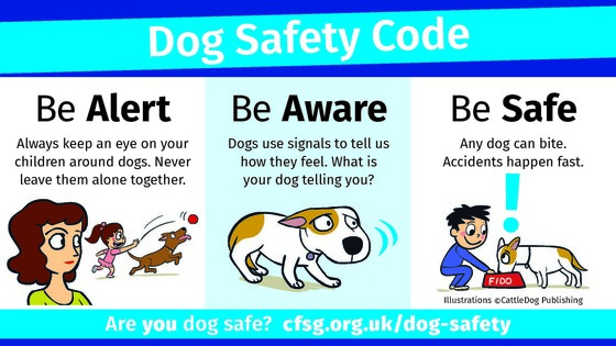 Dog safety code.  Be alert, be aware, be safe.  Ae you dog safe? cfsg,org.uk/dog-safety