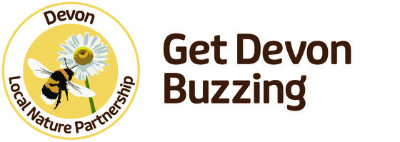 Devon Local Nature Partnership Get Devon Buzzing