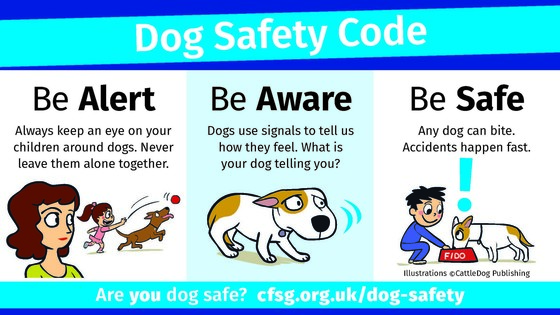 Dog safety code - Be alert, be aware, be safe