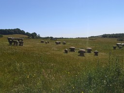 Dawlish Countryside Park