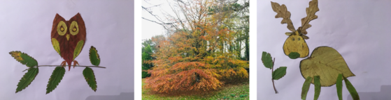 Two leaf montage images and a tree