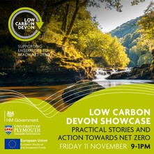 Low Carbon Devon Showcase. Practical stories and action towards net zero. Friday 11 November 9-1pm