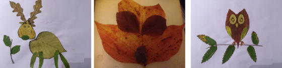 Three images made from leaves