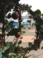 Market viewed through a floral decoration