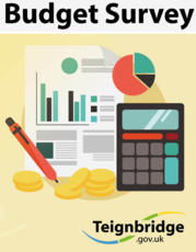 Budget survey graphic coins, graph, paper, calculator illustrated