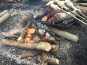 Fire and damper bread Bushcraft skills