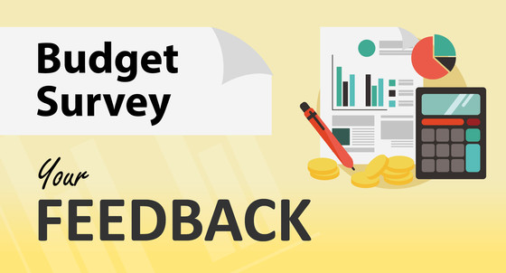 Budget survey - your feedback graphic containing charts, calculator, coins, pen,