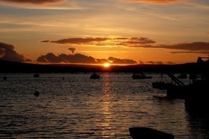 Where in Teignbridge?