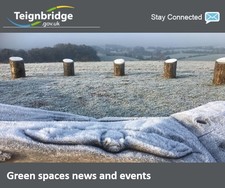 Masthead of Green Spaces newsletter showing a frosted bat carving at Ridgetop Country Park
