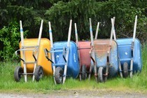 Row of colourful wheelbarrows
