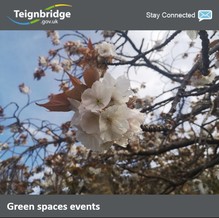 Green Spaces events newsletter masthead