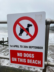 Red warning sign. 1st April to 30th September No dogs on this beach