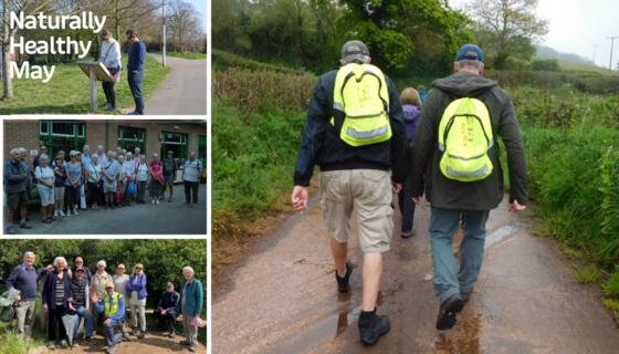 Naturally Health May - images from wellbeing walks