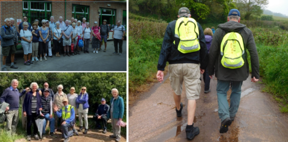 three images from wellbeing walks