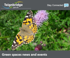 Green spaces newsletter May masthead showing a butterfly against background of plants and flowers