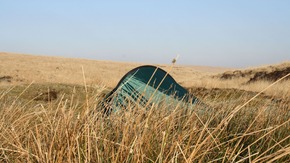 A scene from Dartmoor