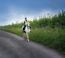 Person on a horse, riding along a country road