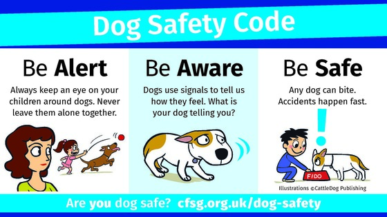 Dog Safety Code. Be Alert Be Aware Be Safe https://www.cfsg.org.uk/dog-safety/