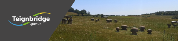 Masthead containing teignbridge.gov.uk plus a green space