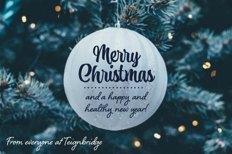 Merry Christmas and a Happy New Year from everyone at Teignbridge