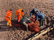 staff gathering up a discarded fishing net