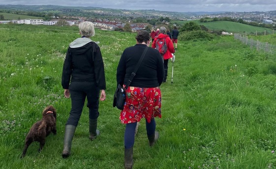 waggy walk ridgetop park exminster