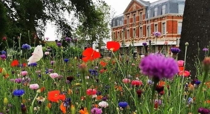 Wildflowers in a park with Newton Abbot Station in the background