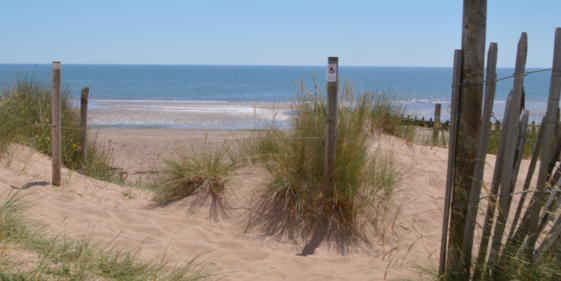 Dawlish Warren dunes