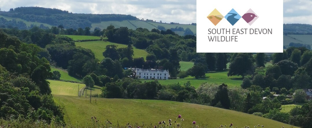 South East Devon Wildlife